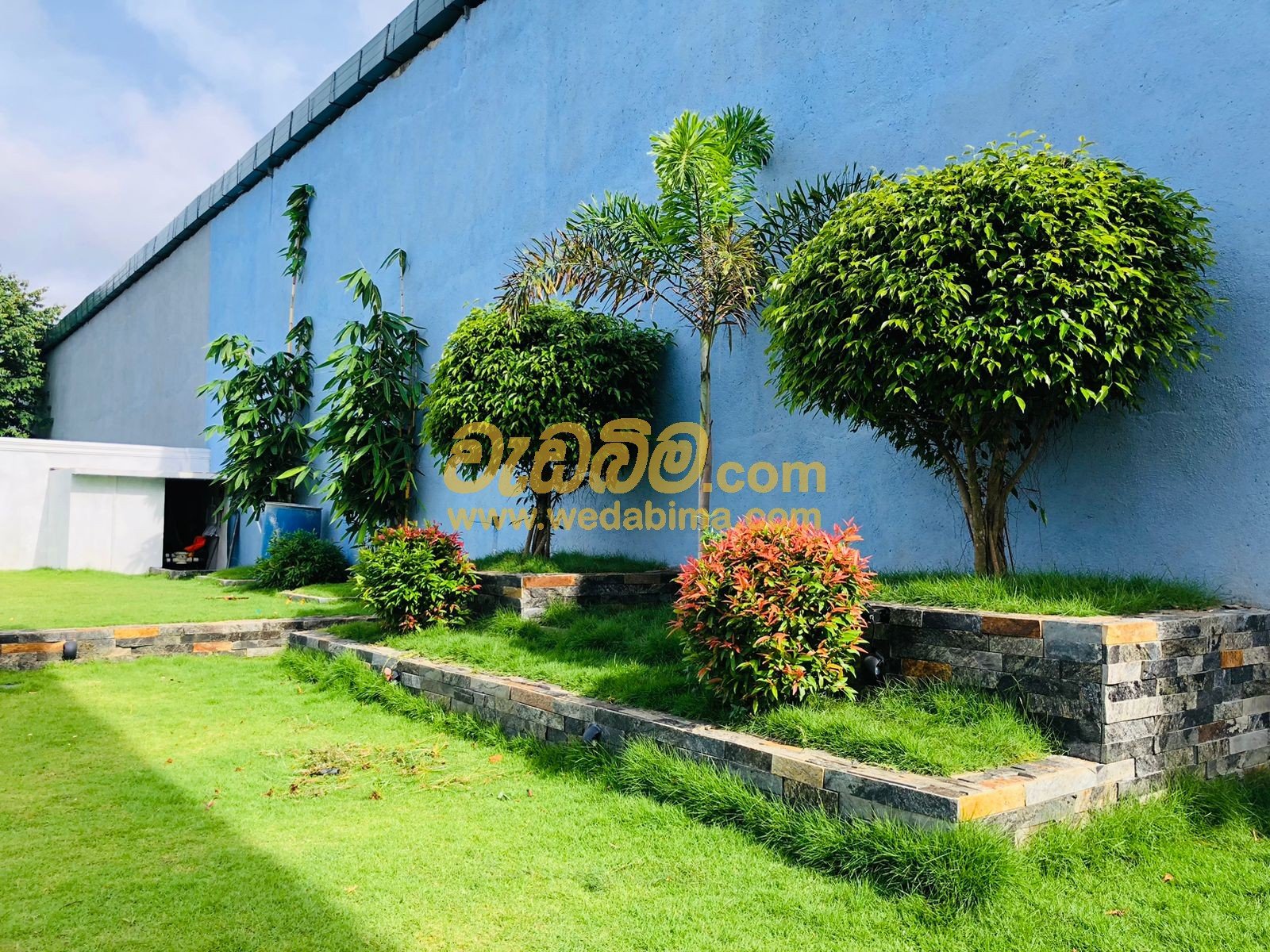 ornamental grass landscape design in Matara