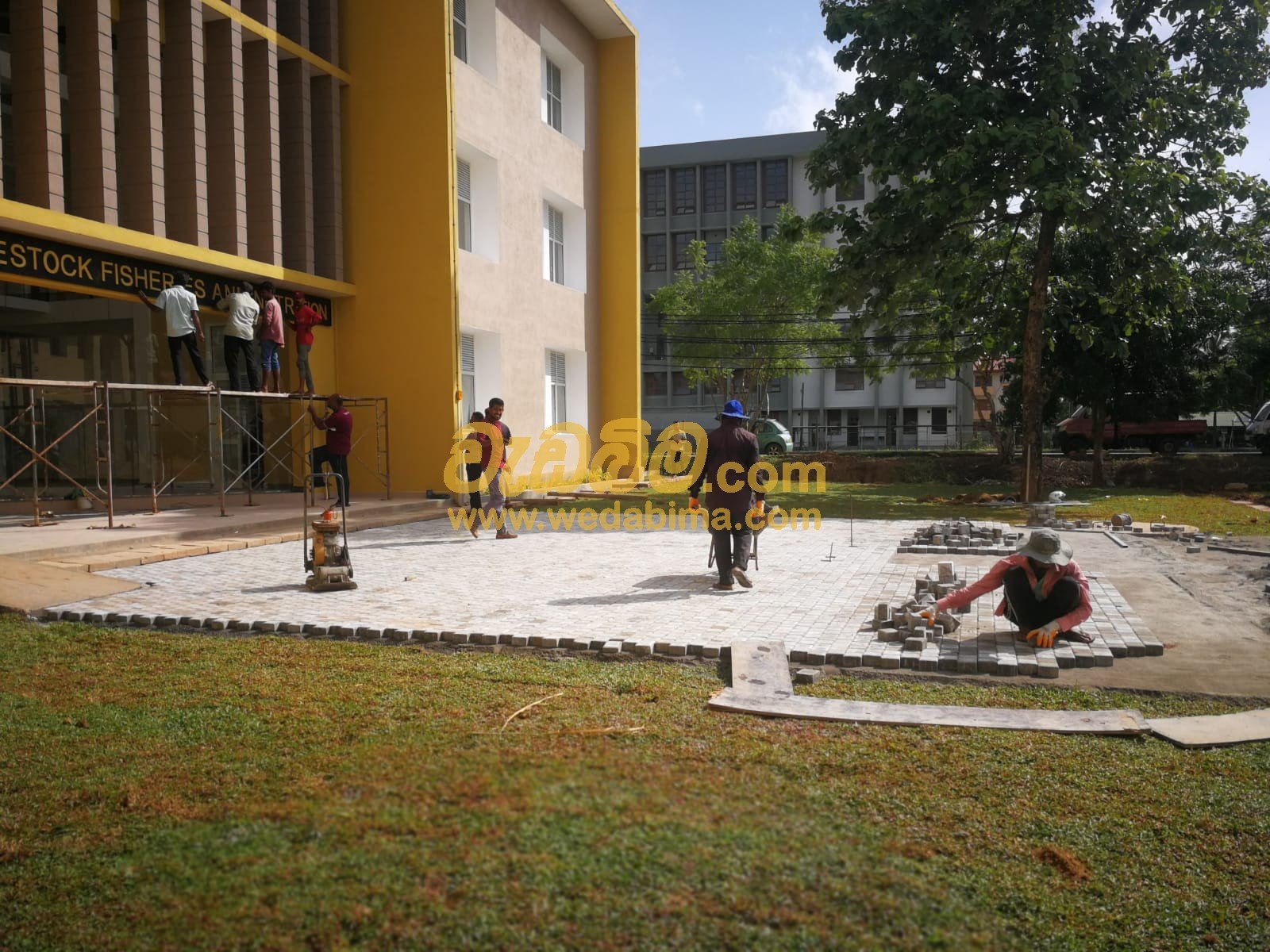 Garden Service & Interlock Pavers Anuradhapura
