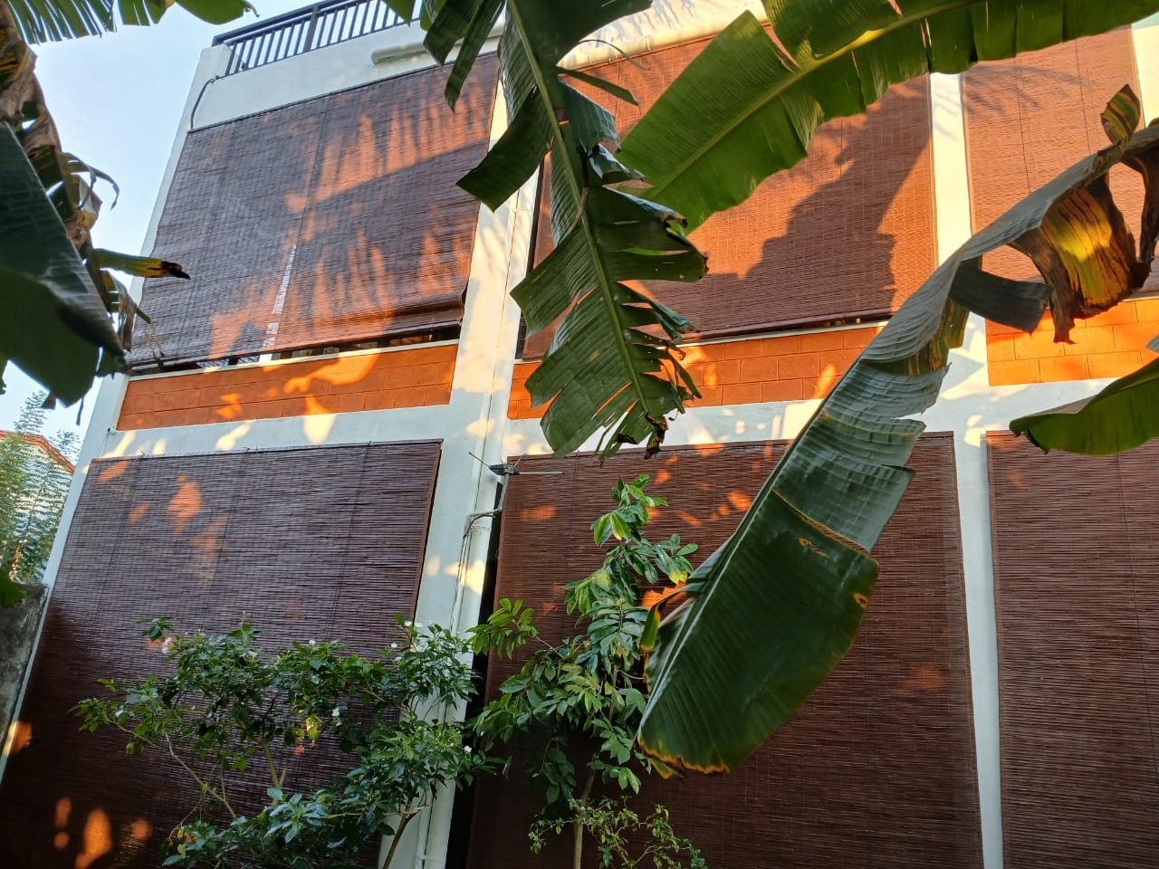 Bamboo Blinds for Sale at Best Price in Sri Lanka