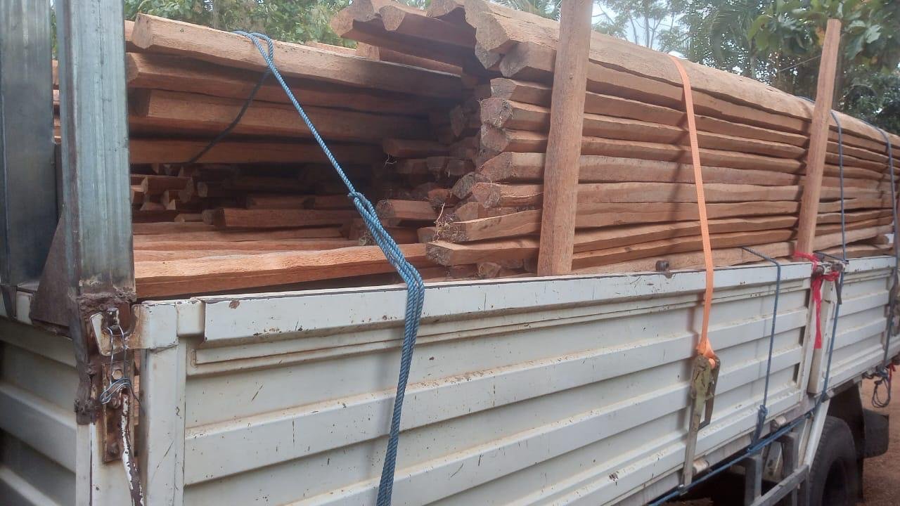 wood suppliers in sri lanka