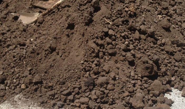 soil suppliers in Kalubowila