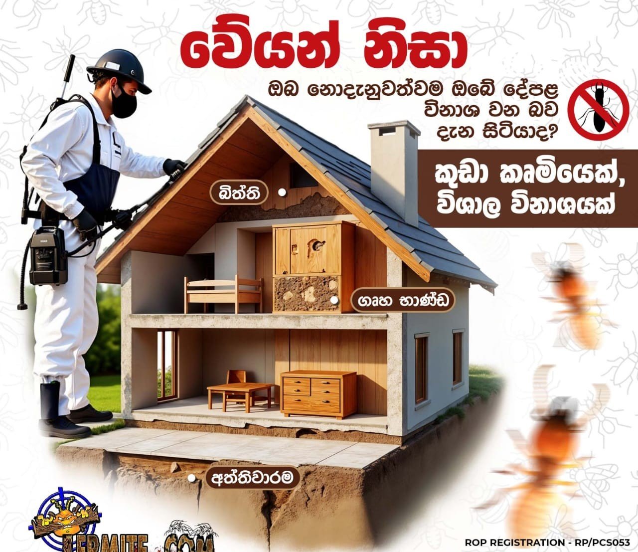 anti termite treatment price in sri lanka