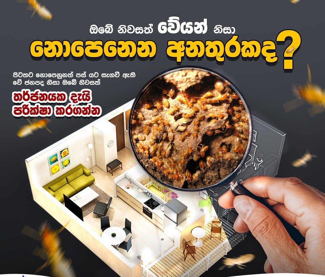 pest control price in kurunegala, sri lanka