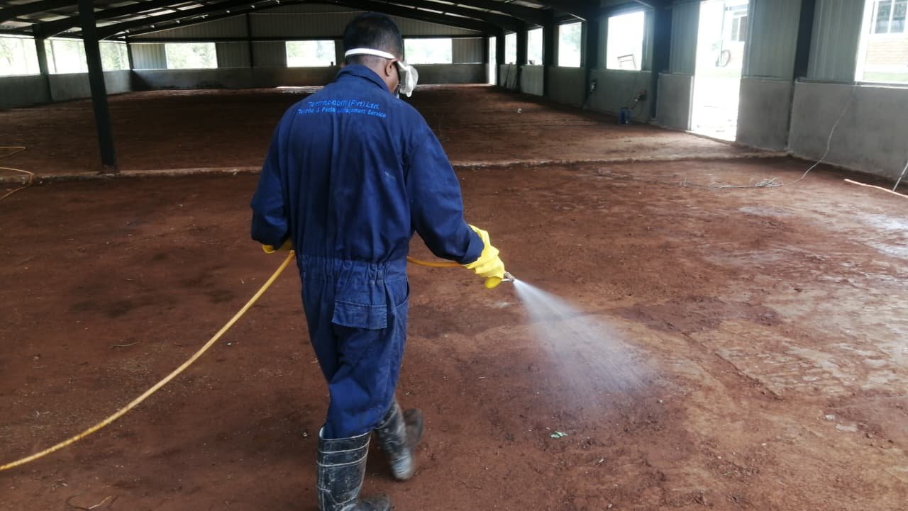 Termite treatment kurunegala