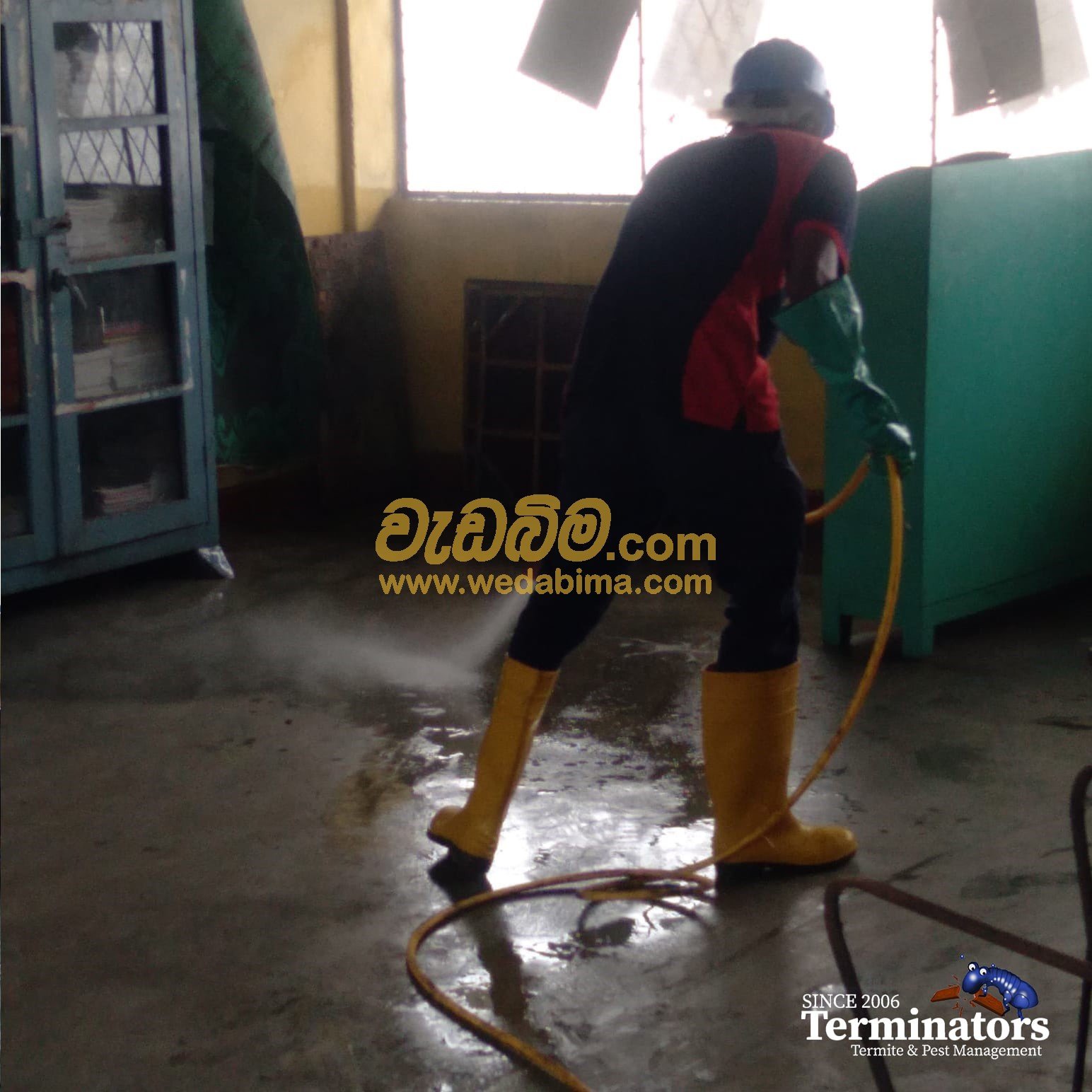 Pest control services trincomalee
