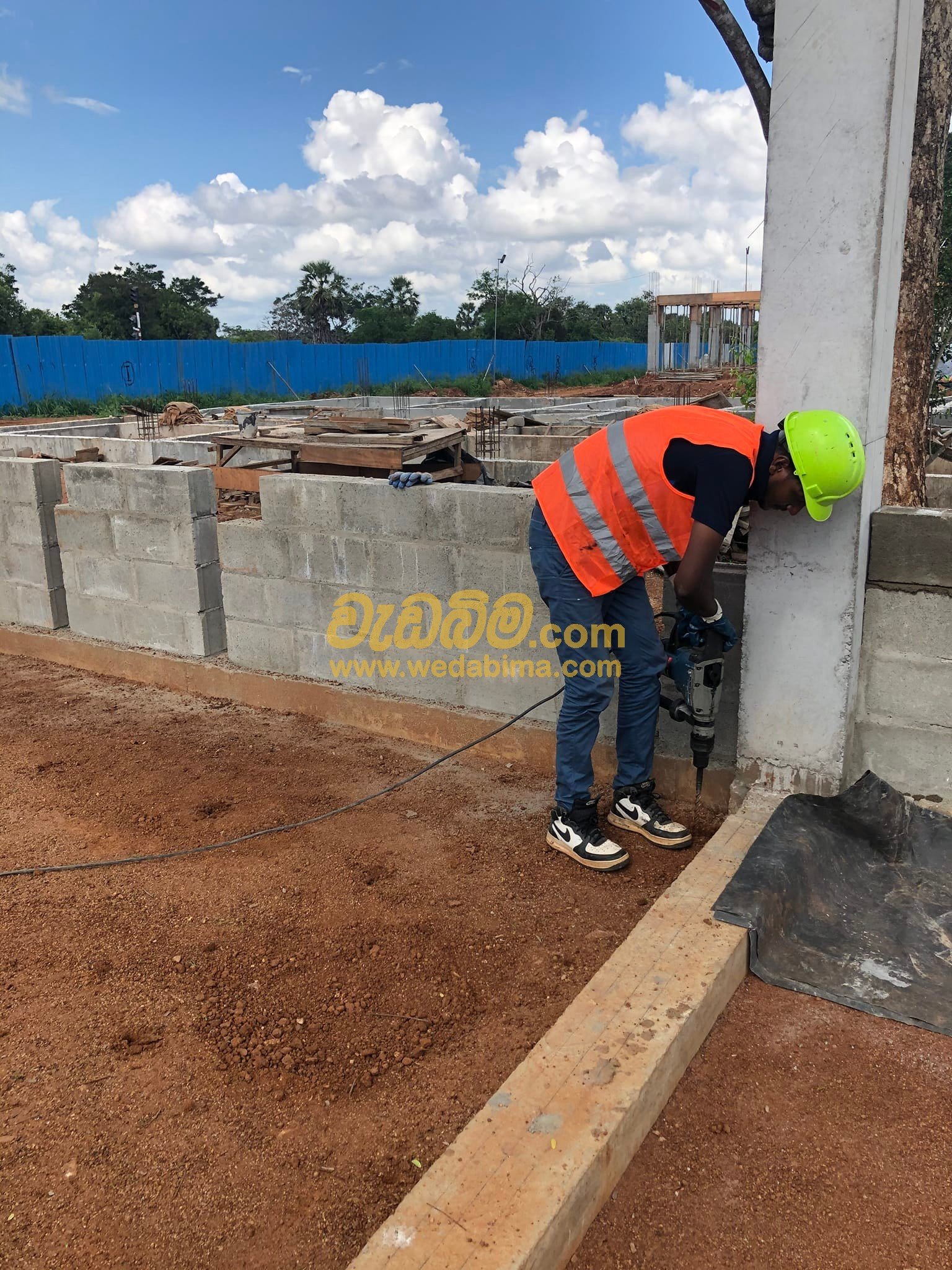 anti termite treatment contractors in sri lanka