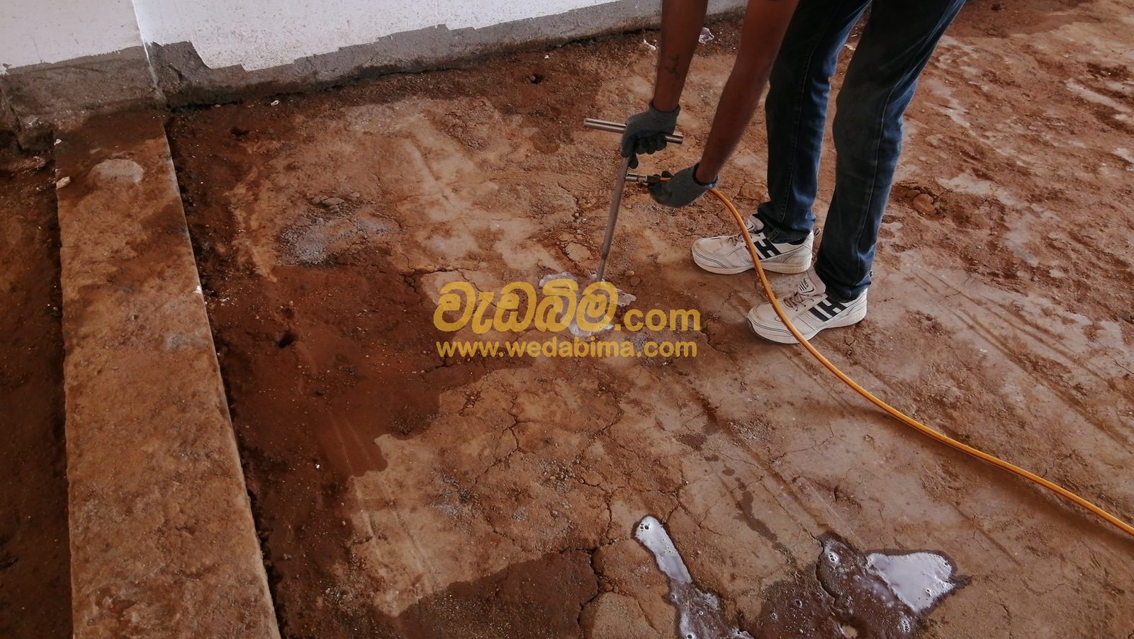 Pest control services in Jaffna colombo sri lanka