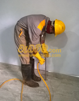 Termite treatment Jaffna