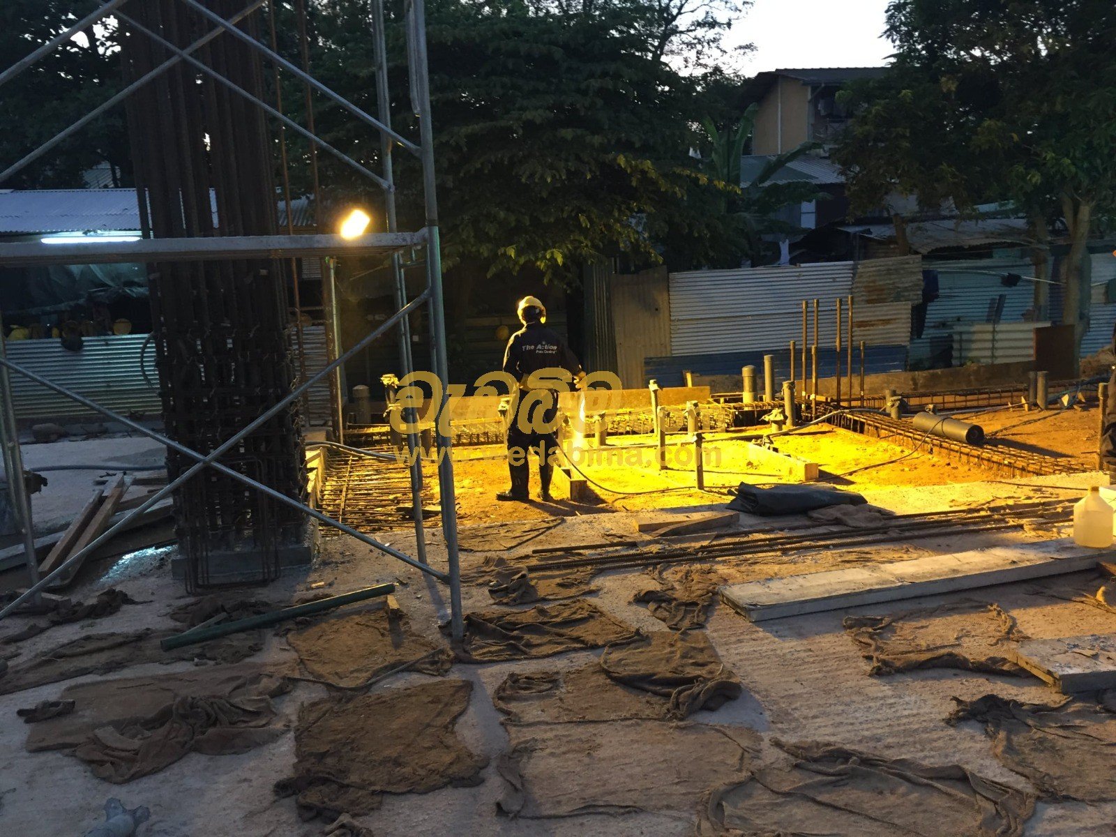 Pest Control Services In Sri Lanka