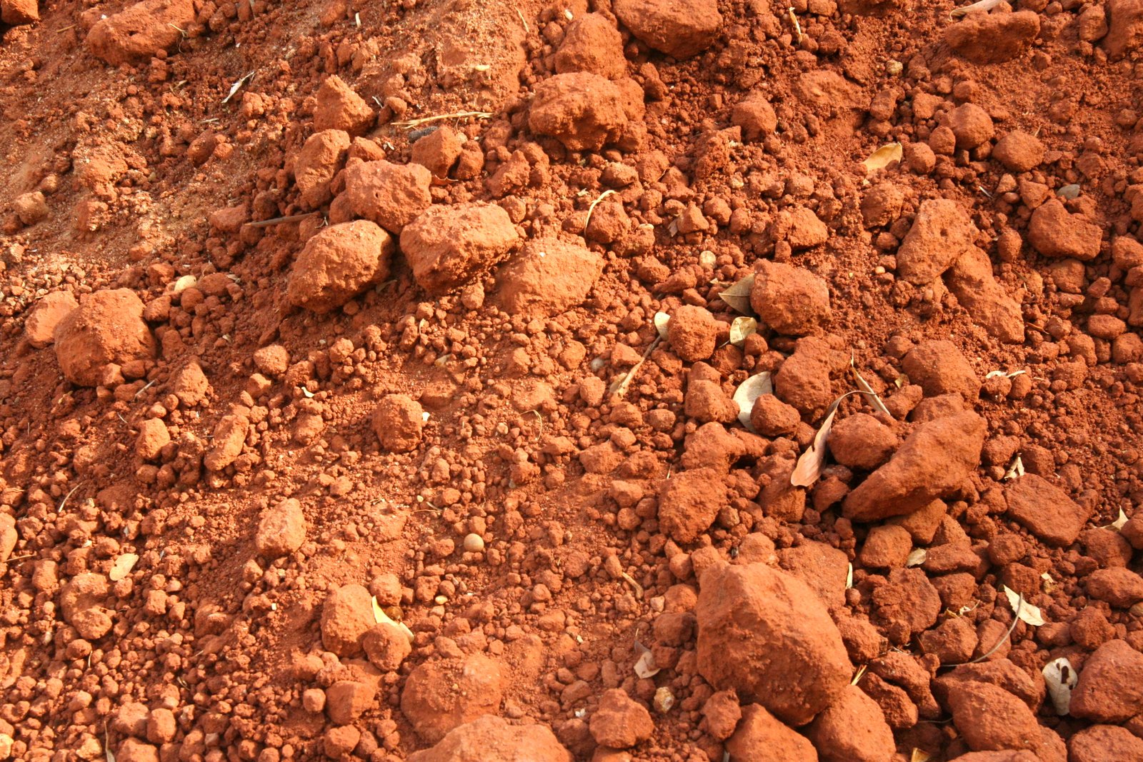 Other image 202509/red-soil-transport-service-in-homagama-wedabima-9e84bddb4f.jpeg