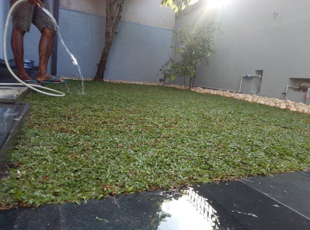 Other image 202510/best-garden-landscaping-sri-lanka-wedabima-7263354eab.jpg