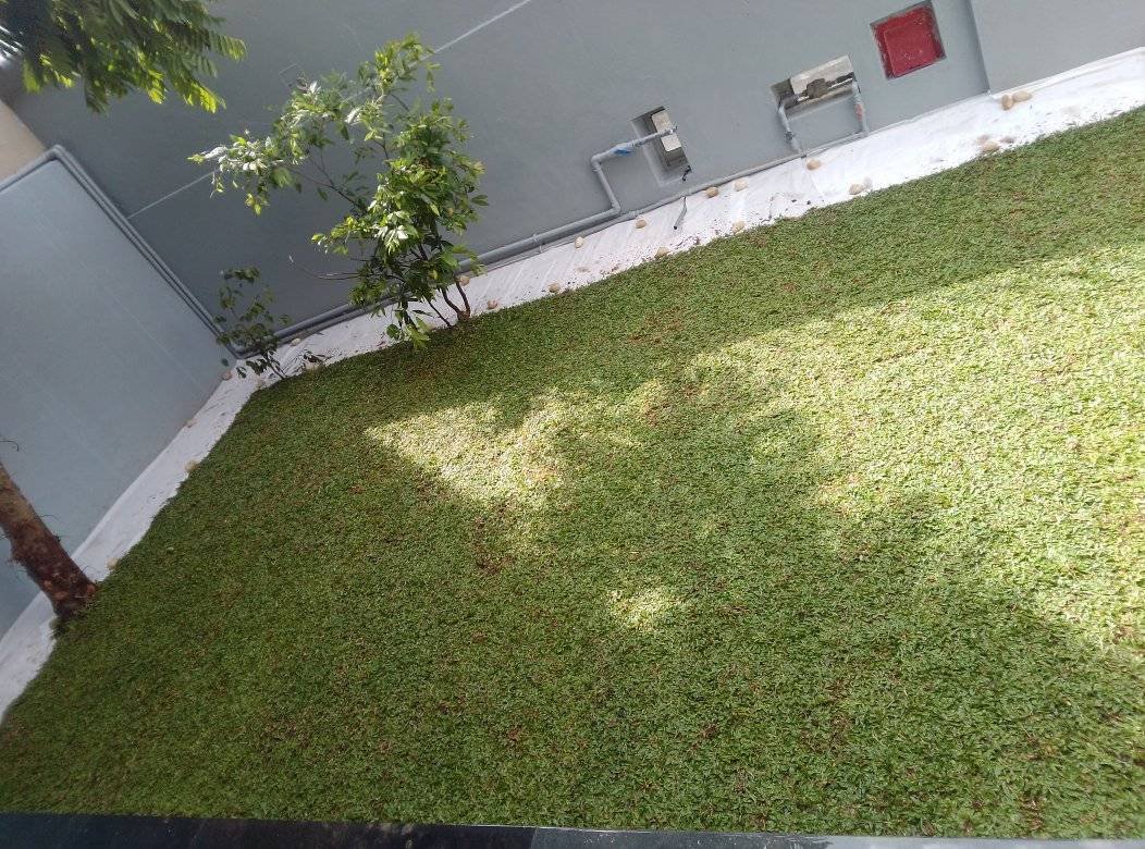 Other image 202510/best-garden-landscaping-sri-lanka-wedabima-ac7fe28b38.jpg