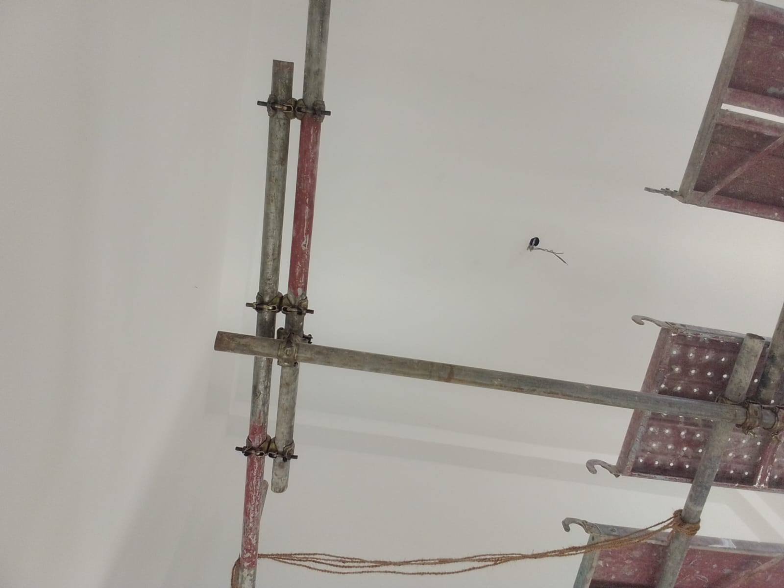 Other image 202510/house-painting-contractors-galle-wedabima-5c0920162d.jpg