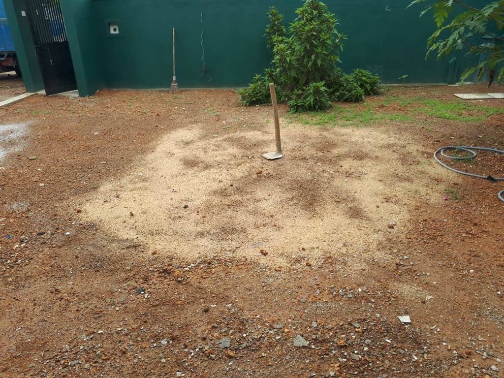 Other image 202602/landscaping-companies-in-kandy-wedabima-bb6223cf6d.jpg