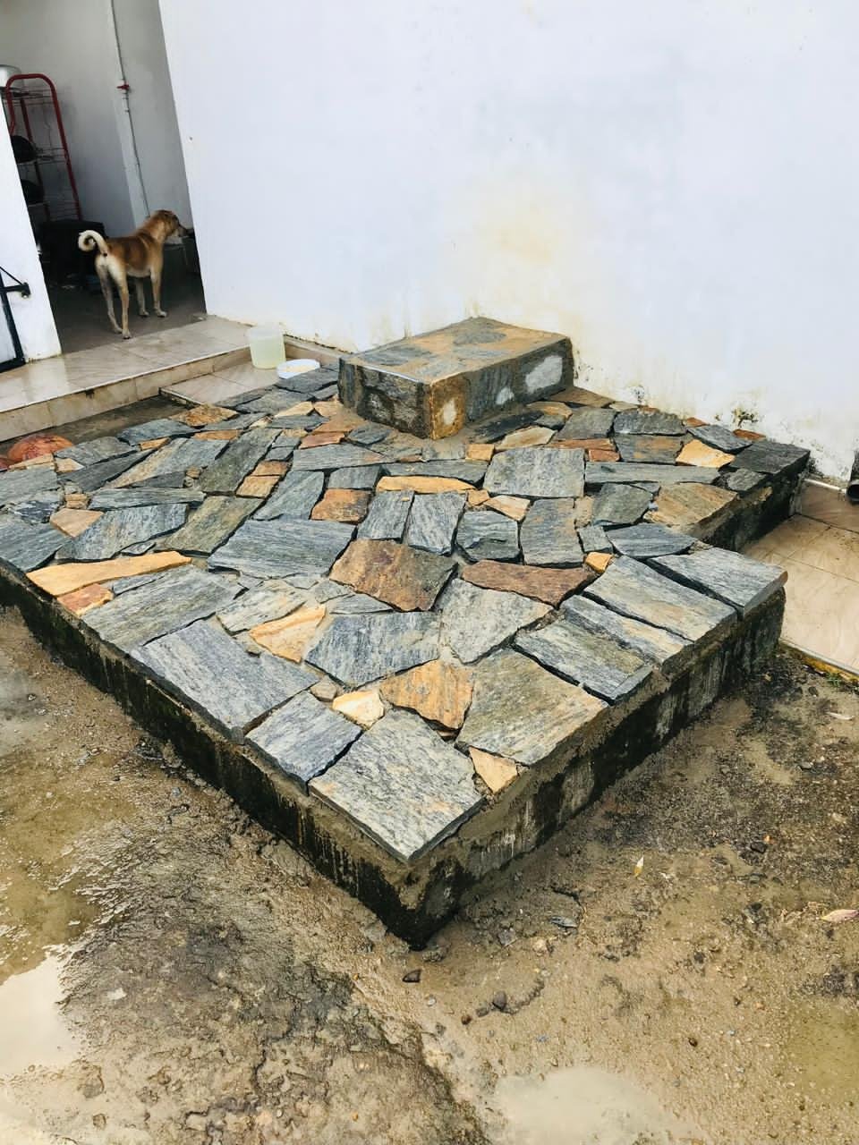 Other image 202603/natural-point-stone-for-flooring-peradeniya-wedabima-4f220078de.jpeg