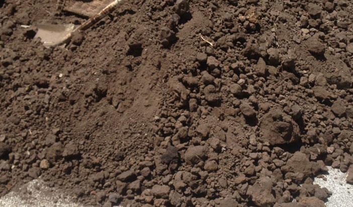 Other image 202606/black-soil-supply-company-in-colombo-wedabima-8cd7db7a7c.jpg
