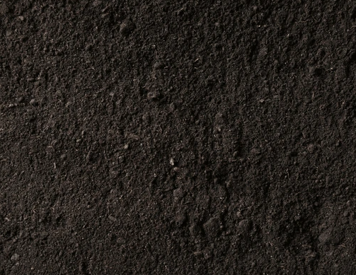 Other image 202606/black-soil-transporters-in-kalubowila-wedabima-63e8a108e5.png