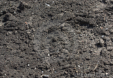Other image 202606/kabok-soil-cube-price-in-colombo-wedabima-25a84c569f.png