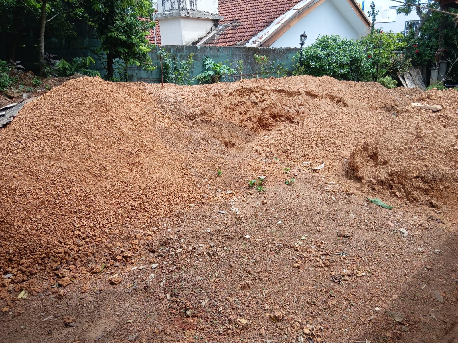 Other image 202606/soil-cube-price-in-kalubowila-wedabima-90b3ce2142.jpeg