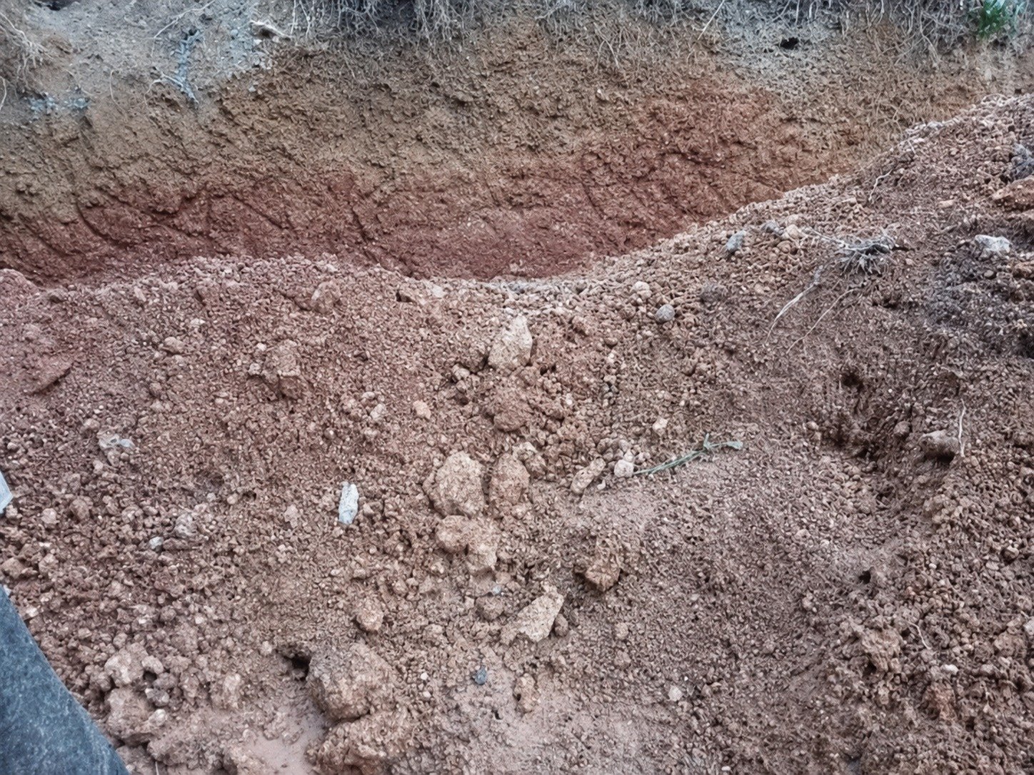Other image 202606/soil-suppliers-in-kalubowila-wedabima-ce657c5271.jpeg