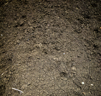 Other image 202606/soil-transport-and-service-nugegoda-wedabima-41803cbb5e.png