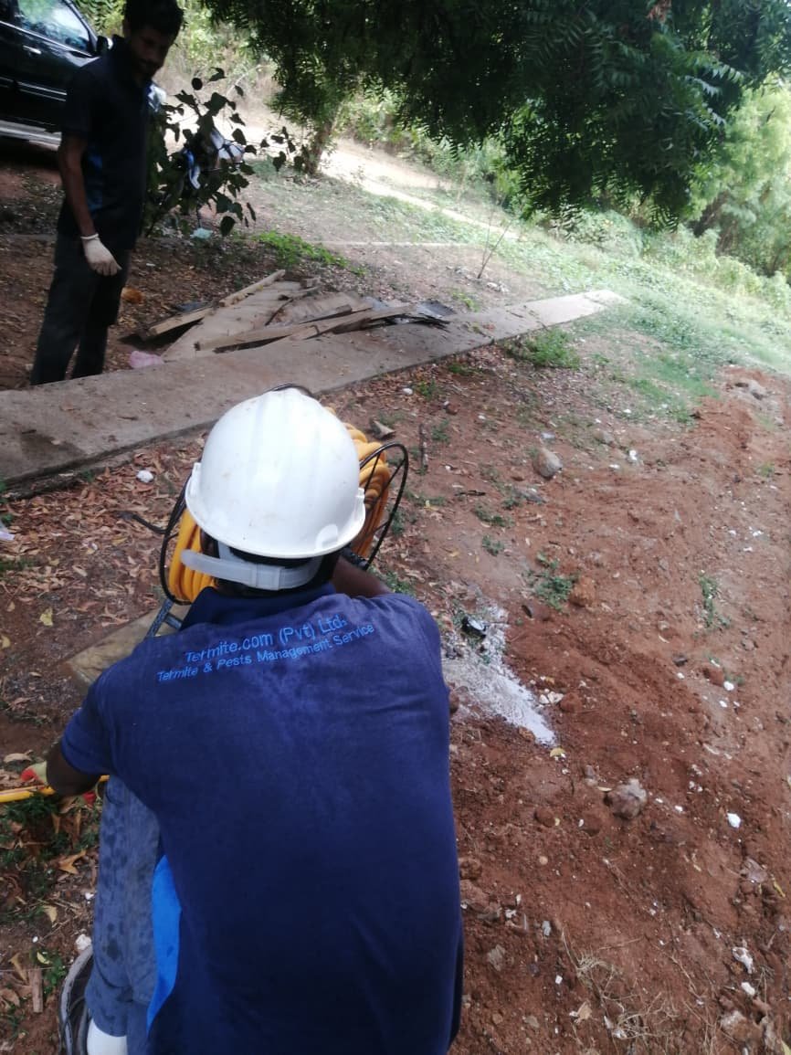 Other image 202608/pest-control-services-in-kurunegala-wedabima-3eb97b1f70.jpeg