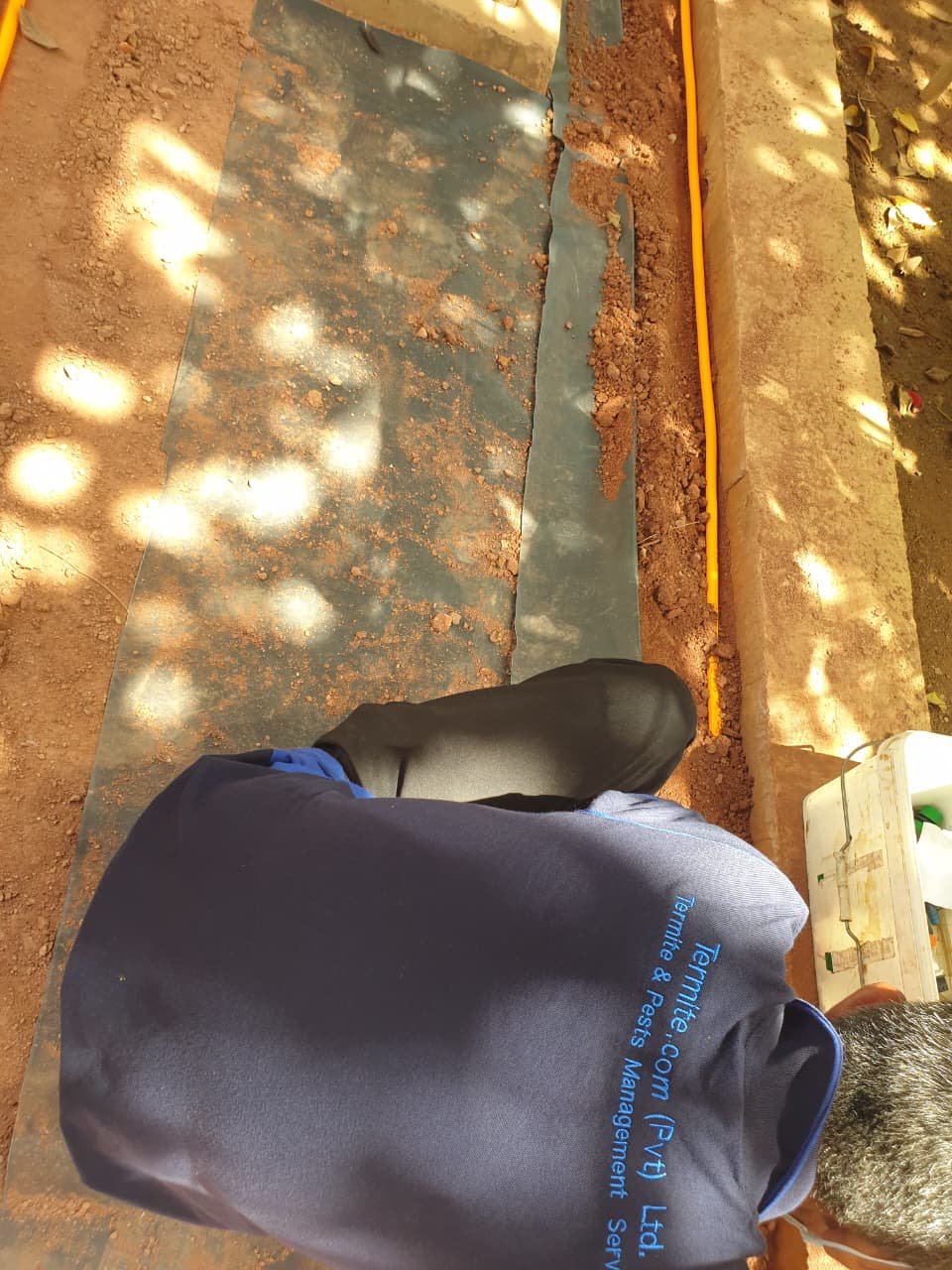 Other image 202608/pest-control-services-in-kurunegala-wedabima-4461aa2a02.jpeg