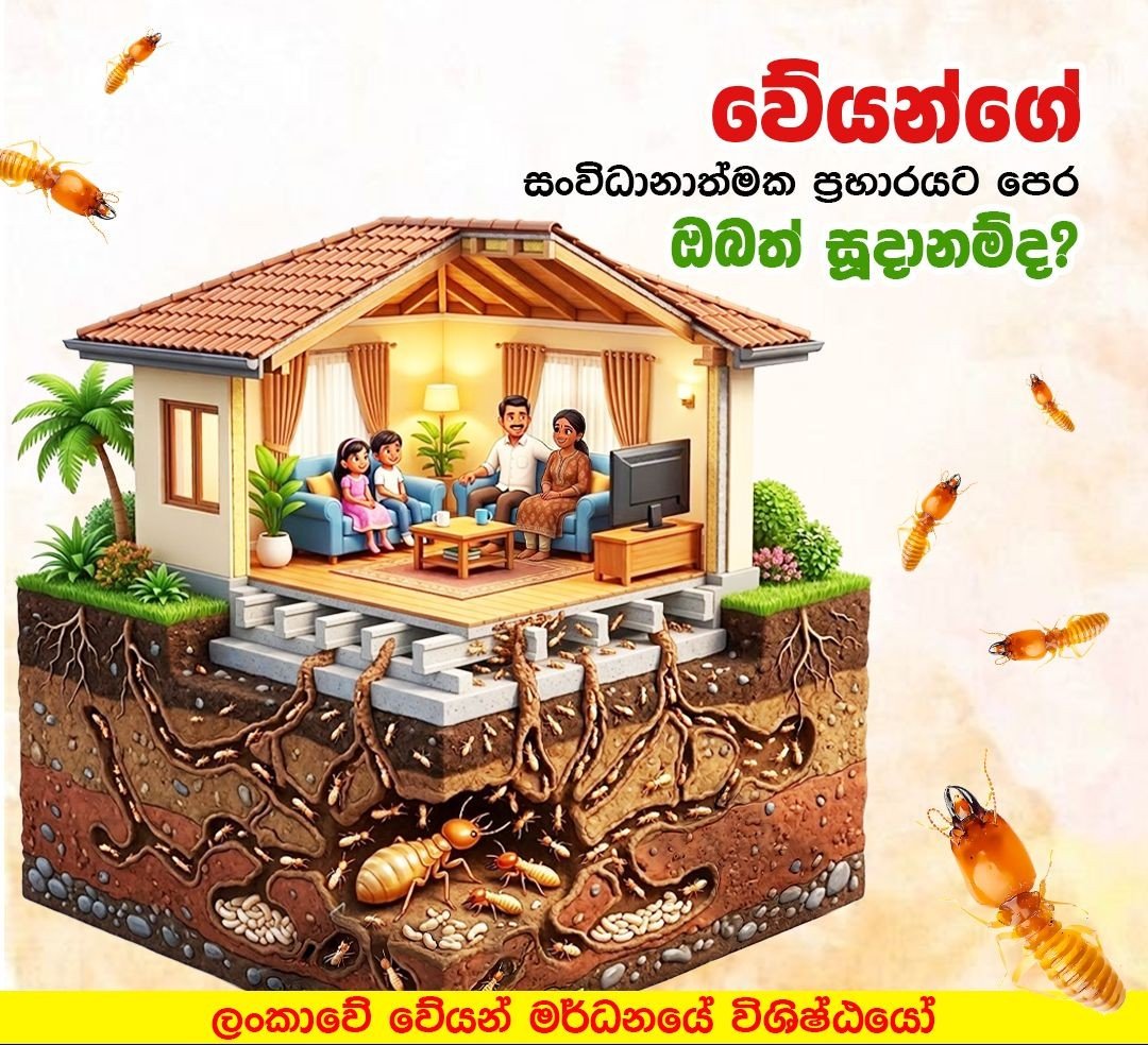 Other image 202608/pest-control-services-in-kurunegala-wedabima-97a1020254.jpeg