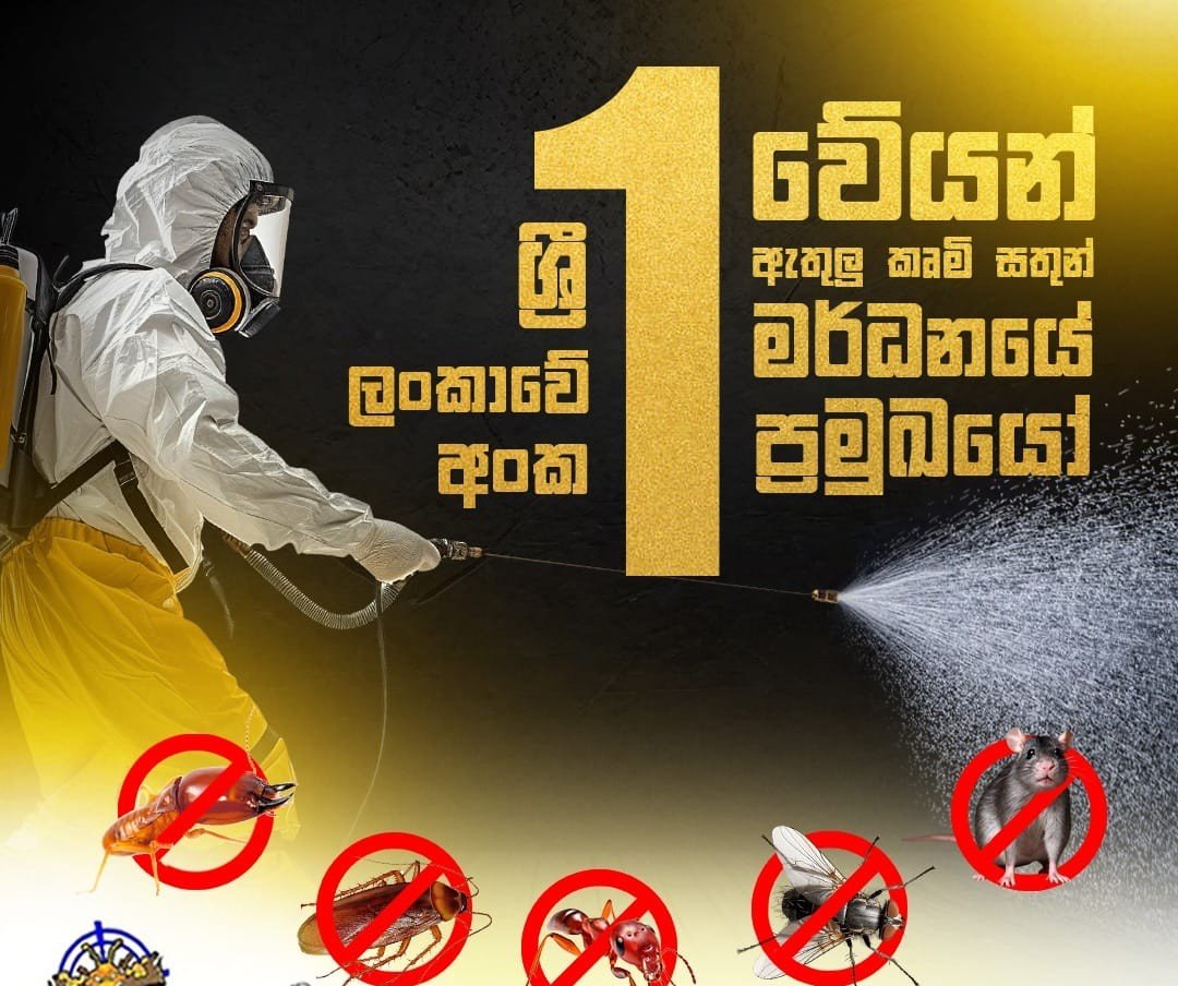 Other image 202608/pest-control-services-in-kurunegala-wedabima-dae5af4614.jpeg